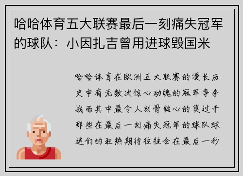 哈哈体育五大联赛最后一刻痛失冠军的球队：小因扎吉曾用进球毁国米