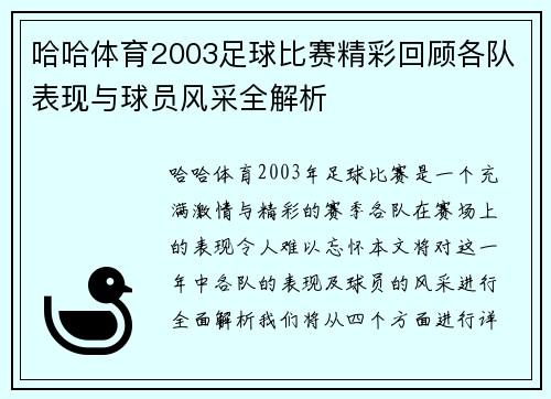 哈哈体育2003足球比赛精彩回顾各队表现与球员风采全解析