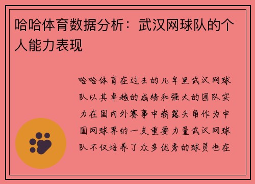 哈哈体育数据分析：武汉网球队的个人能力表现