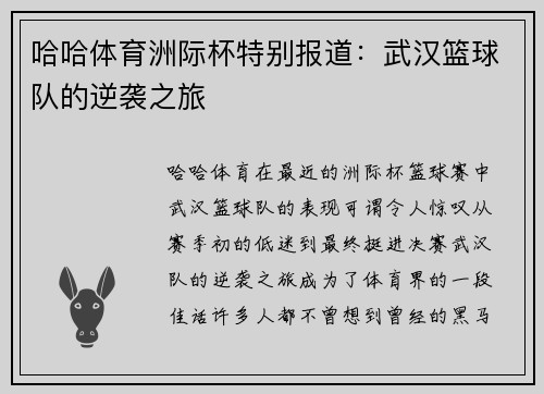 哈哈体育洲际杯特别报道：武汉篮球队的逆袭之旅