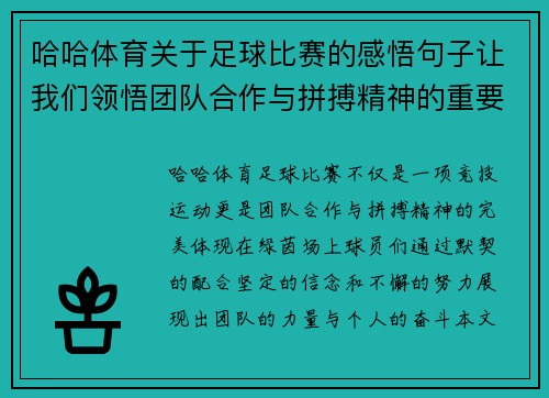 哈哈体育关于足球比赛的感悟句子让我们领悟团队合作与拼搏精神的重要性